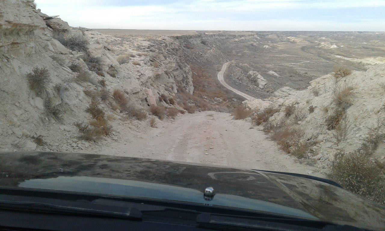 2019-жылы «Rally Muynak» жарысы өткериледи